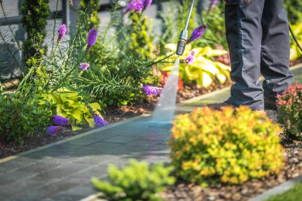 Best Animal Enclosure Cleaning  in Shingle Springs, CA
