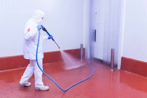 Best Machinery and Equipment Cleaning  in Shingle Springs, CA
